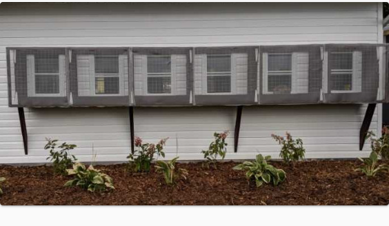 Exterior view of Valley Cat Hotel boarding suites in Berwick NS